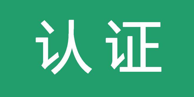 企业站智能镜像站群系统2025